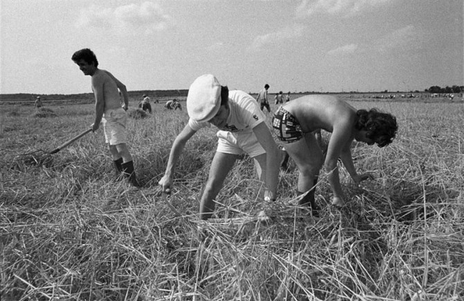 1975 agricultura