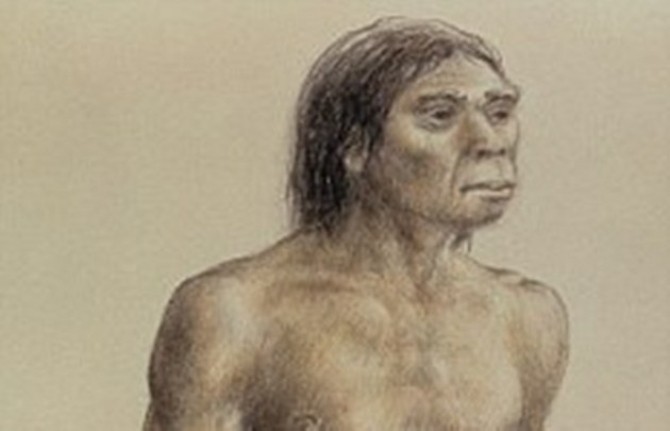 Предок человека на четвереньках реконструкция.