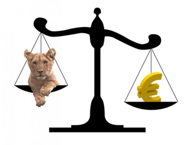 curs leu euro