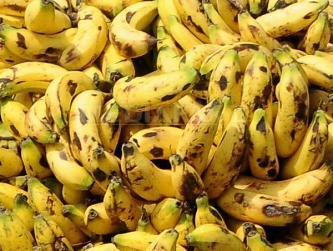 banane-afp