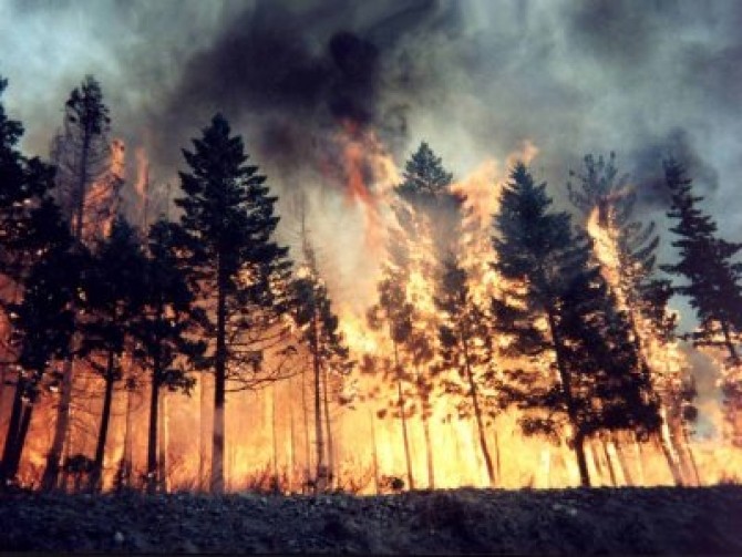 Incendiu pădure