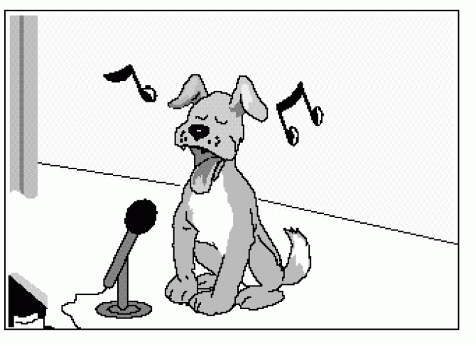 Câine vorbitor