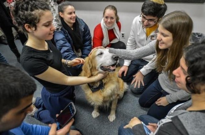 puppy-therapy-queens-college