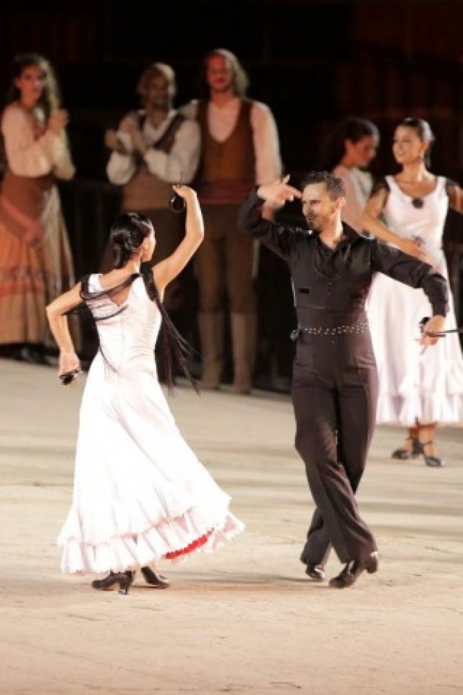 (w670) Un flamenc
