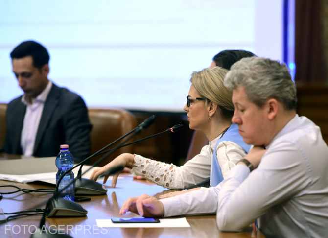 Alina Gorghiu (PNL): Îi cer public lui Dorneanu să aştepte avizul Comisiei de la Veneţia 