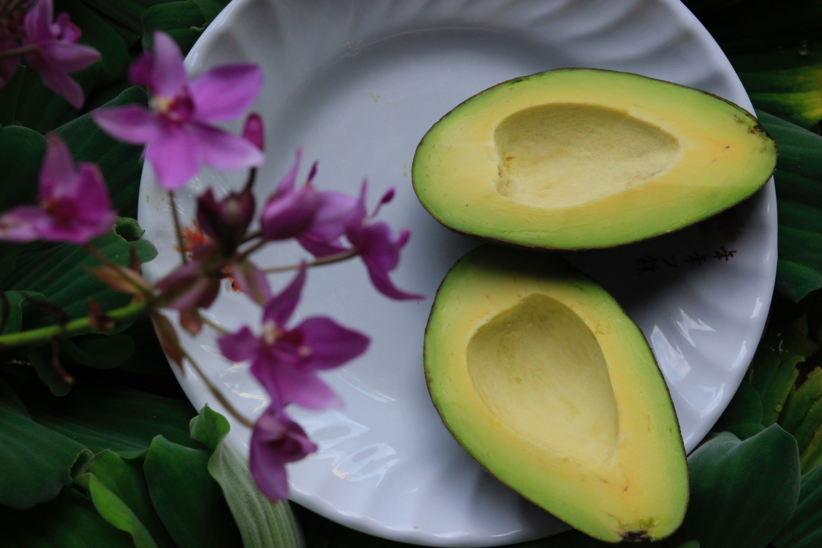 Dieta cu avocado. Slabeste in mod sanatos pana la 5 kilograme in 2 saptamani - decorate-it.ro