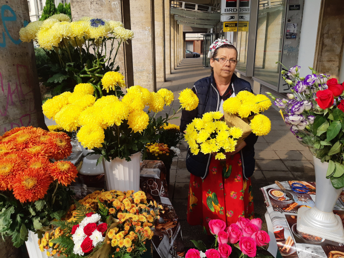 Ce poveste ascunde un colț cu flori din București  