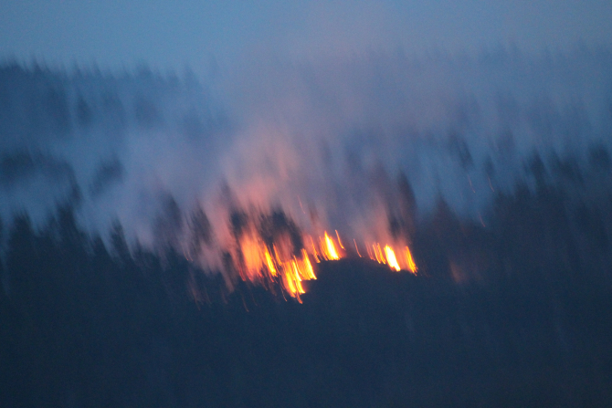 Incendiu de pădure