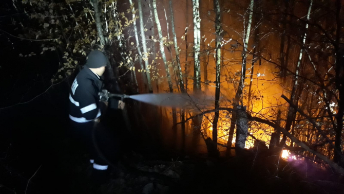 Incendiu de pădure. FOTO: ISU Bistrița-Năsăud