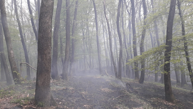 FOTO: ISU Mureș. Incendiu de vegetație la Sighișoara
