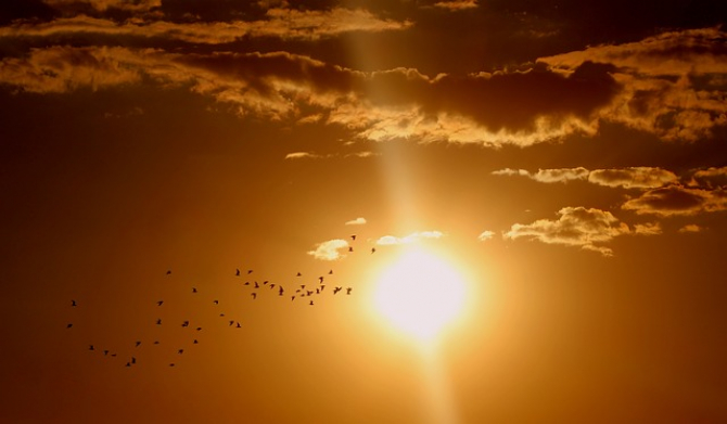 Sheer Dissipation range Temperaturile din interiorul Soarelui! O mare enigmă a științei | DCNews