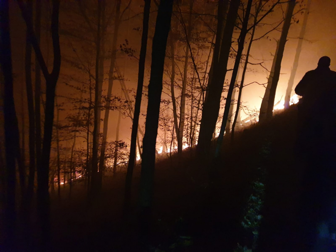 Incendiu de pădure în județul Sibiu. Foto: ISU Sibiu