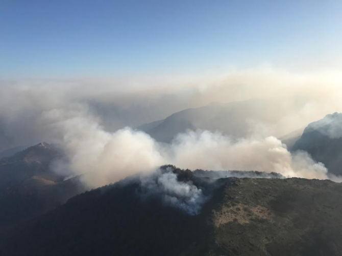 Incendiu de pădure. Foto: ISU Caraș Severin