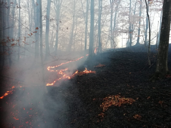 Incendiu litieră de pădure. FOTO: ISU Brașov