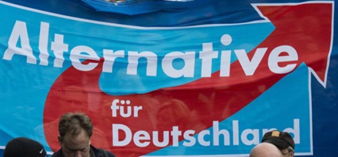 Partidul de extremă dreapta Alternativa pentru Germania se află în scădere