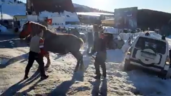 Mașini scoase din zăpadă de cai