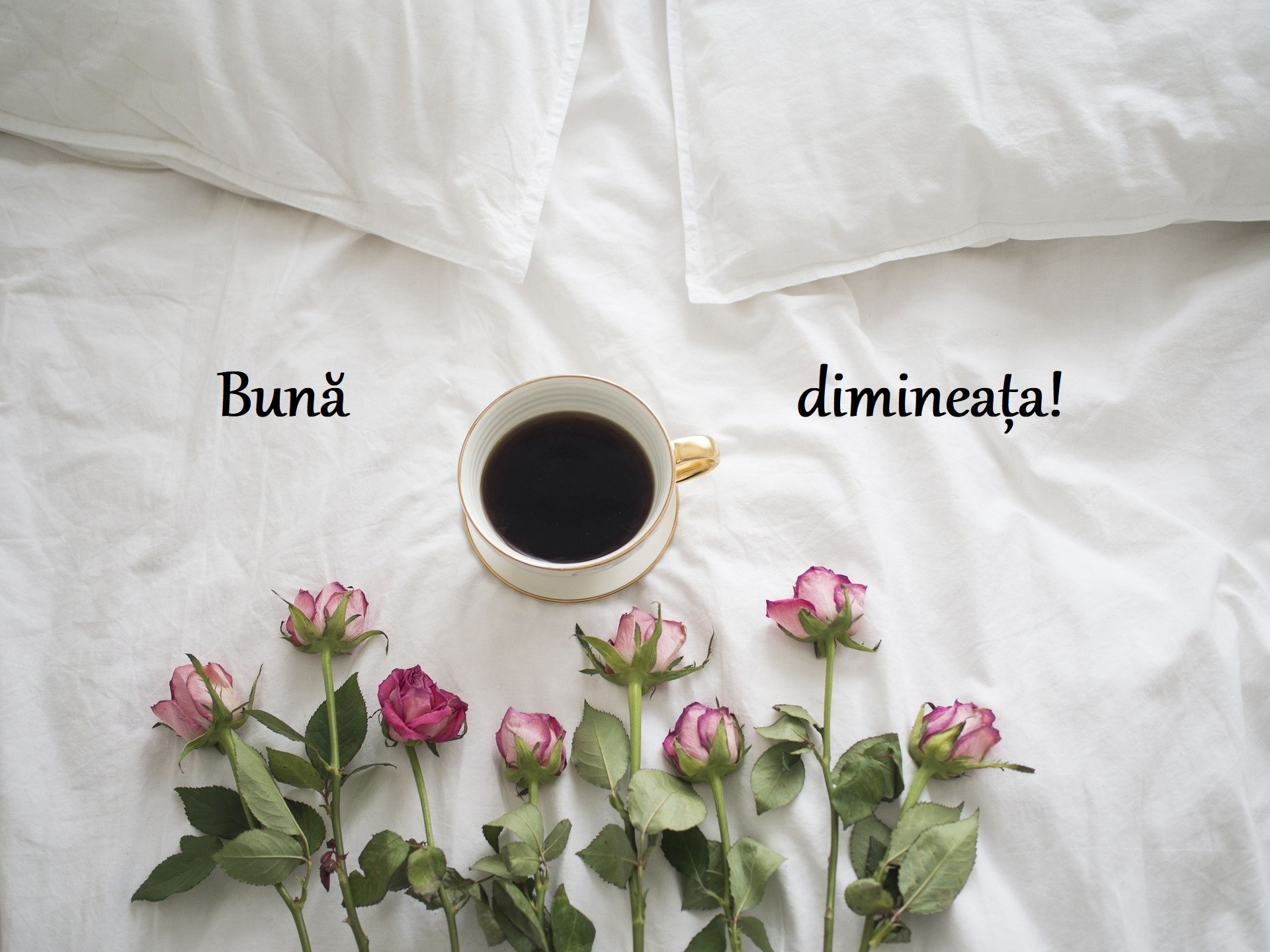 Mispend May rhyme Cele mai frumoase imagini în loc de "Bună dimineața!". Trimite-le  prietenilor tăi! (GALERIE FOTO) | DCNews