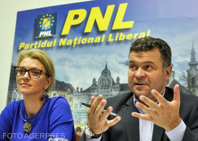 Marilen Pirtea (PNL): Timiș, al doilea după București la valoarea PIB-ului