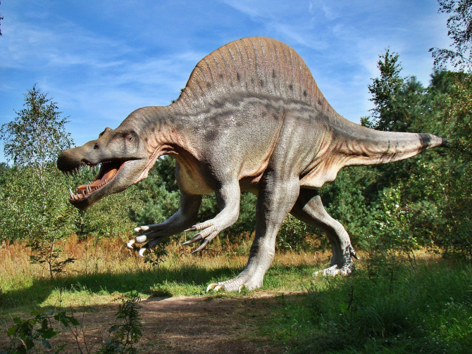 Rămășițele unui dinozaur au fost găsite în Argentina / Imagine de Jerzy Górecki de la Pixabay 