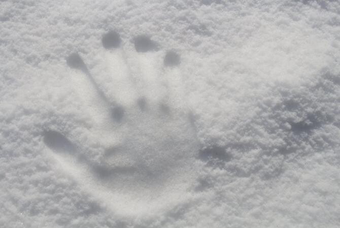 Județul Tulcea, paralizat: Zăpada depăşeşte 2 metri, 7 localităţi nu au curent, 147 de oameni salvaţi de pe drumuri / Foto Pexels