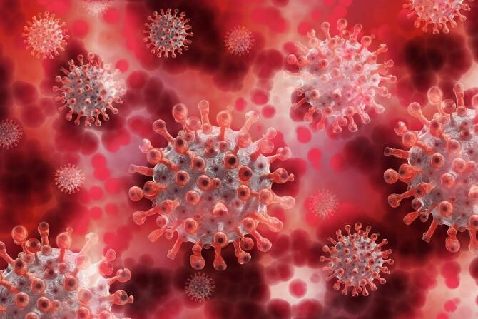 4000 de tulpini de coronavirus în toată lumea. Sursa: Pixabay