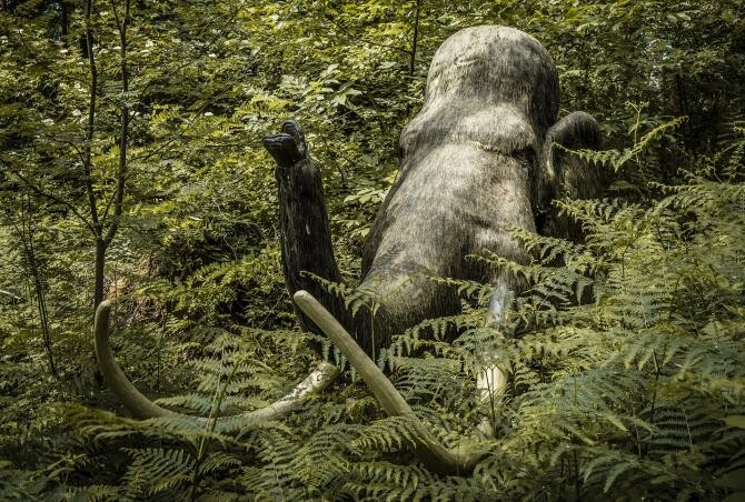 A fost secvențiat cel mai vechi ADN de mamut  /  Sursă foto: Pixbay
