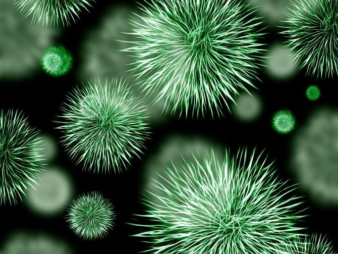 Virusul Nipah amenință omenirea cu o nouă pandemie. Noi precizări ale cercetătorilor   /  Foto cu caracter ilustrativ: Pixbay