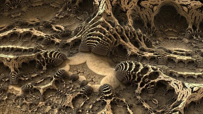 O fosilă de 1 miliard de ani ar putea fi cel mai vechi animal multicelular descoperit vreodată  /  Foto cu caracter ilustrativ: Pixabay