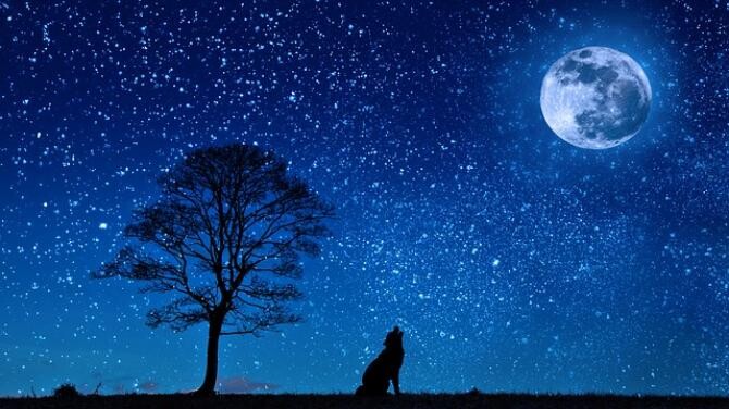 Horoscop, marți, 27 aprilie 2021. Lună Plină în Scorpion. Sursă foto: Pixabay