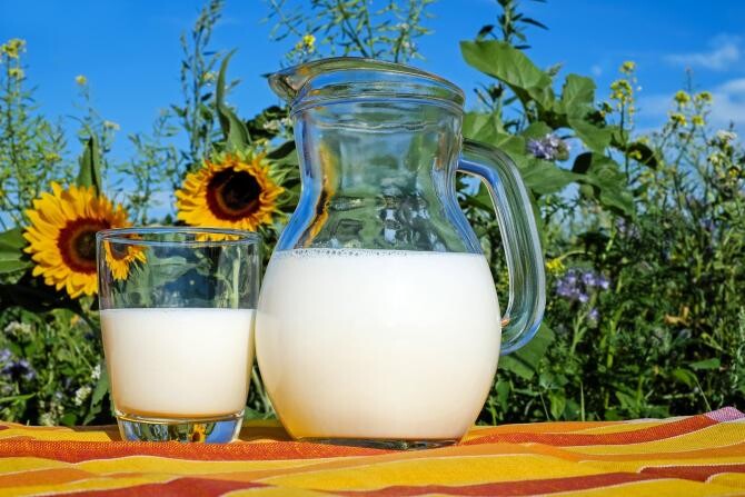Decizie istorică a UE privind lactatele vegetale / Foto: Pixabay