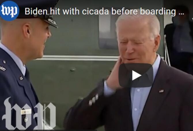 Biden, atacat de insecte înainte de a pleca spre Europa / Captură Video Youtube Daily Mail