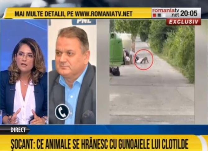 Captură video România TV