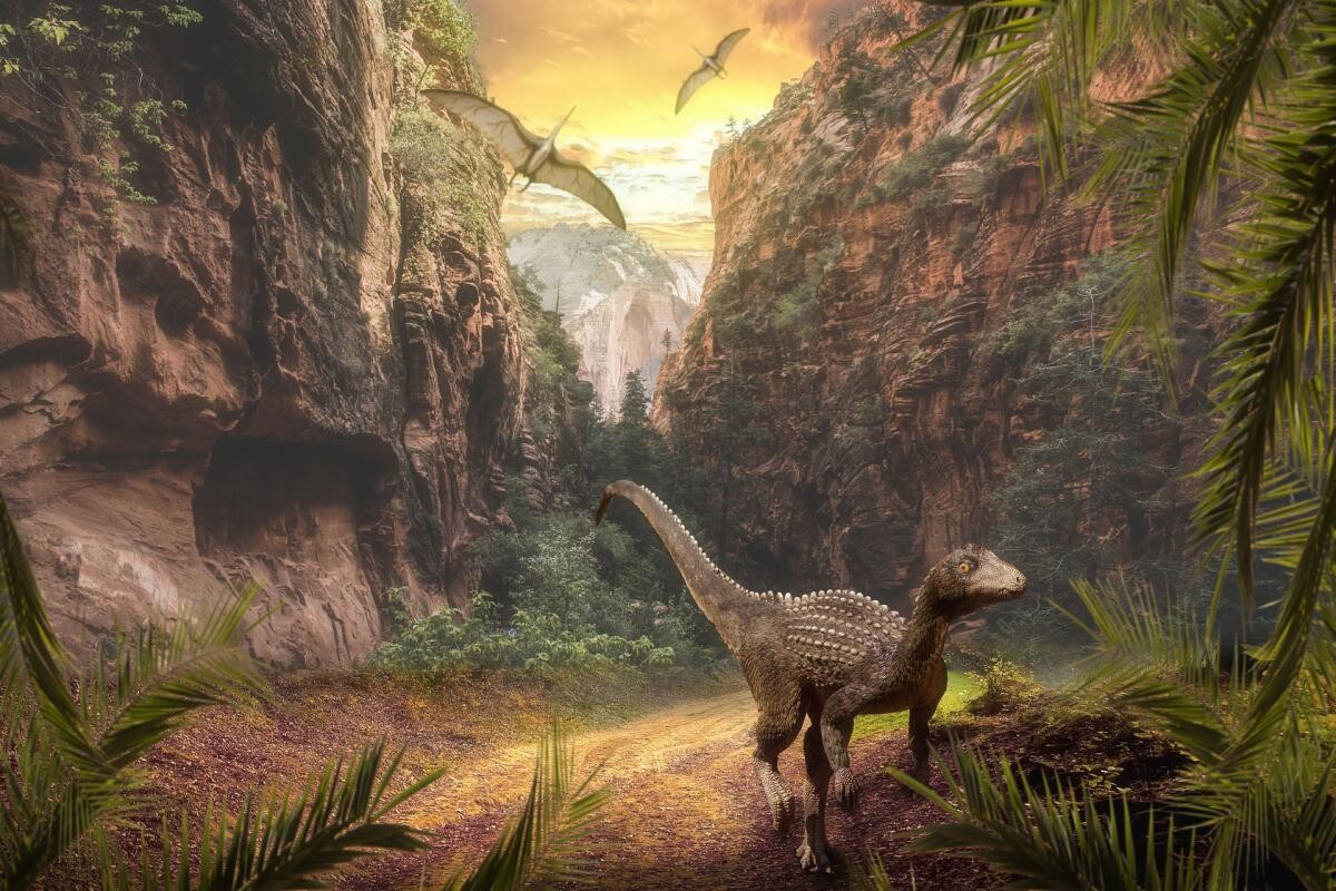 O descoperire uimitoare: Dinozaurii au trăit pe teritoriul de azi al României | Profesorul Alexandru Andrășanu, interviu la DC News - Vimarsana News
