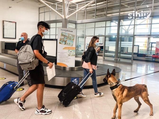 Fă cunoștință cu Blue, unul dintre câinii polițiști dresaţi să detecteze „mirosul de COVID”  / Foto: Facebook Aeroportul Internațional Sibiu