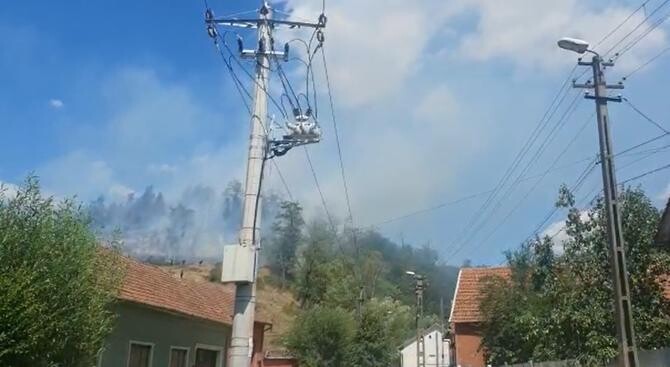 Incendiu de vegetație la Reșița. Arde pădurea de la marginea orașului  /  Sursă foto: BanatFM.ro