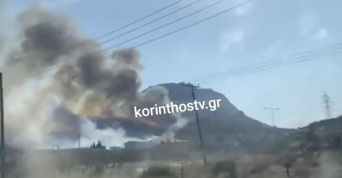 foto incendiu Grecia, 14 august, captură video