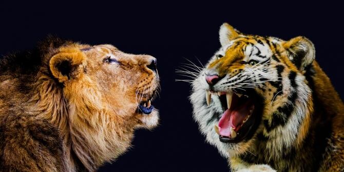 O grădină zoologică din Chile testează un vaccin experimental anti-Covid-19 pe lei şi tigri / Foto: Pixabay