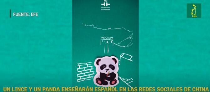 Un linx şi un panda, profesori de limbă spaniolă pe reţelele de socializare din China / Captură Video