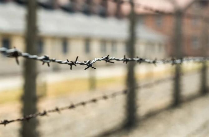 Pixabay / În România nu vor fi construite garduri la frontiere (surse)