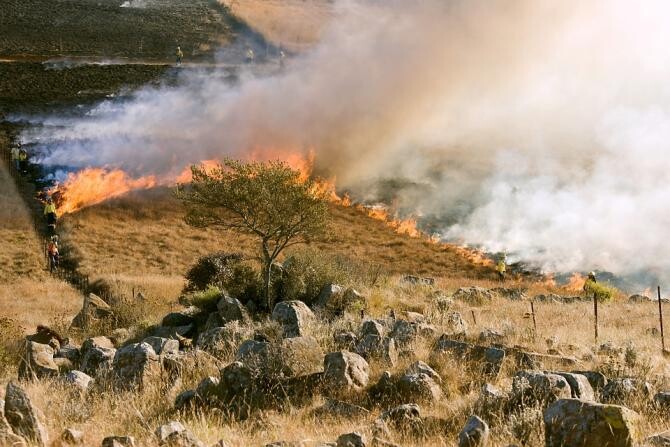 Pixabay / Siria a condamnat la moarte 24 de piromani în cazurile de incendii de vegetație