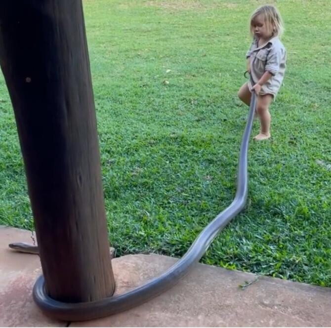 Copil de 2 ani, filmat de tatăl său în timp ce târăște un PITON viu pe iarbă / Foto: Captură video Instagram