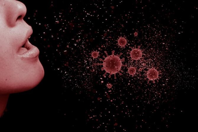 Emilian Imbri: Sigur numărul celor care de fapt sunt infectați este ceva mai mare decât ce se anunță / Foto: Pixabay