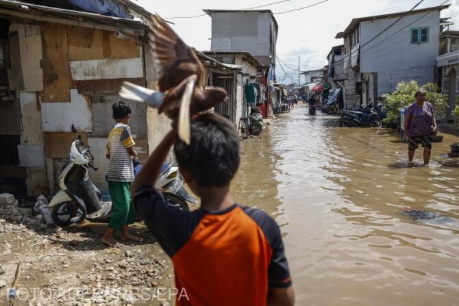 Inundațiile provocate de  de maree într-o zonă rezidențială din nordul Jakarta, Indonezia. Potrivit raportului Deltares, partea de nord-vest a Jakarta se scufundă cu o rată de șapte până la 10 centimetri pe an, în timp ce se află între doi și patru centim