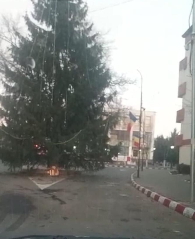 Orașul din România în care a fost instalat un brad de Crăciun atât de mare, încât mașinile nu mai au pe unde să treacă / Foto: Vrancea24