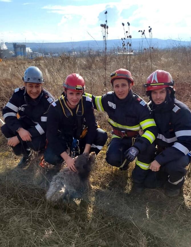 Pompierii militari din Hunedoara au salvat o cățelușă căzută într-un puț  FOTO: ISU Hunedoara