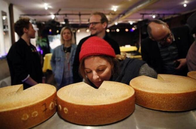 Brânza reacţionează la muzică / Foto: Pexels