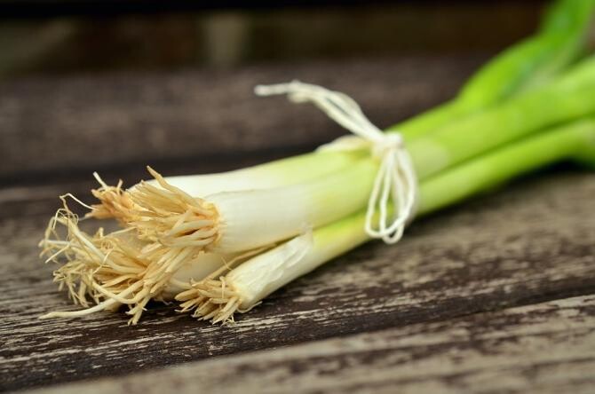 Pericolul ascuns din ceapa și usturoiul verde. Când NU ar trebui să le mai mănânci / Foto: Pixabay, de congerdesign