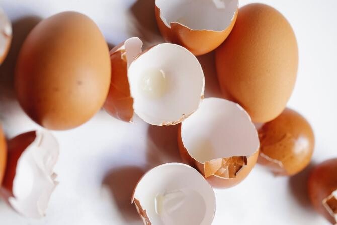 Nu aruncaţi niciodată cojile de ouă! Foto: Pexels, Klaus Nielsen
