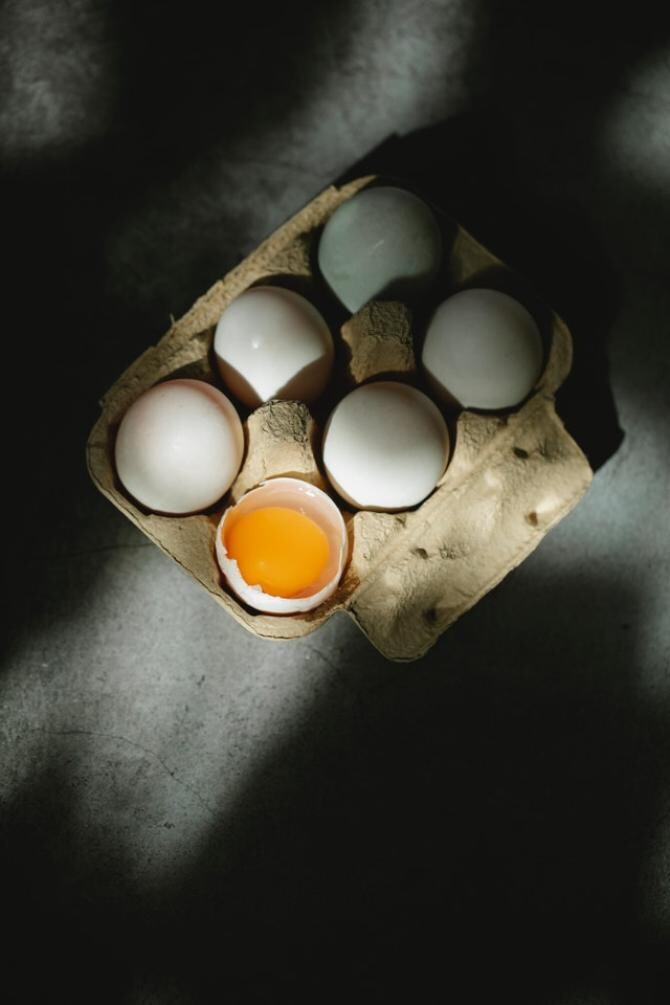 Ce se întâmplă cu ouăle în cel mai mare focar de gripă aviară/ foto pexels
