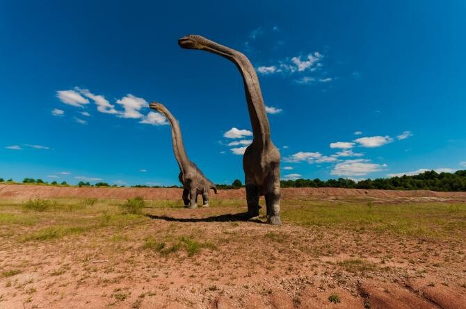 Seceta severă oferă noi dovezi ale existenței dinozaurilor. Mai multe urme au fost descoperite în urma temperaturilor record / Foto: Pixabay, de Dariusz Sankowski